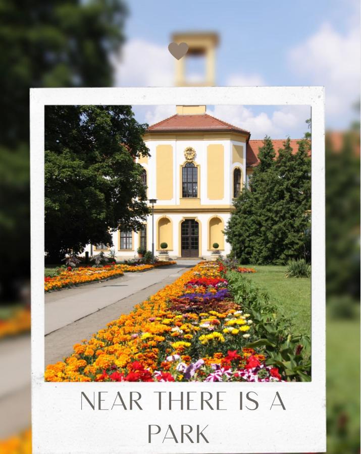 The Best Apartment In The Center Δρέσδη Εξωτερικό φωτογραφία